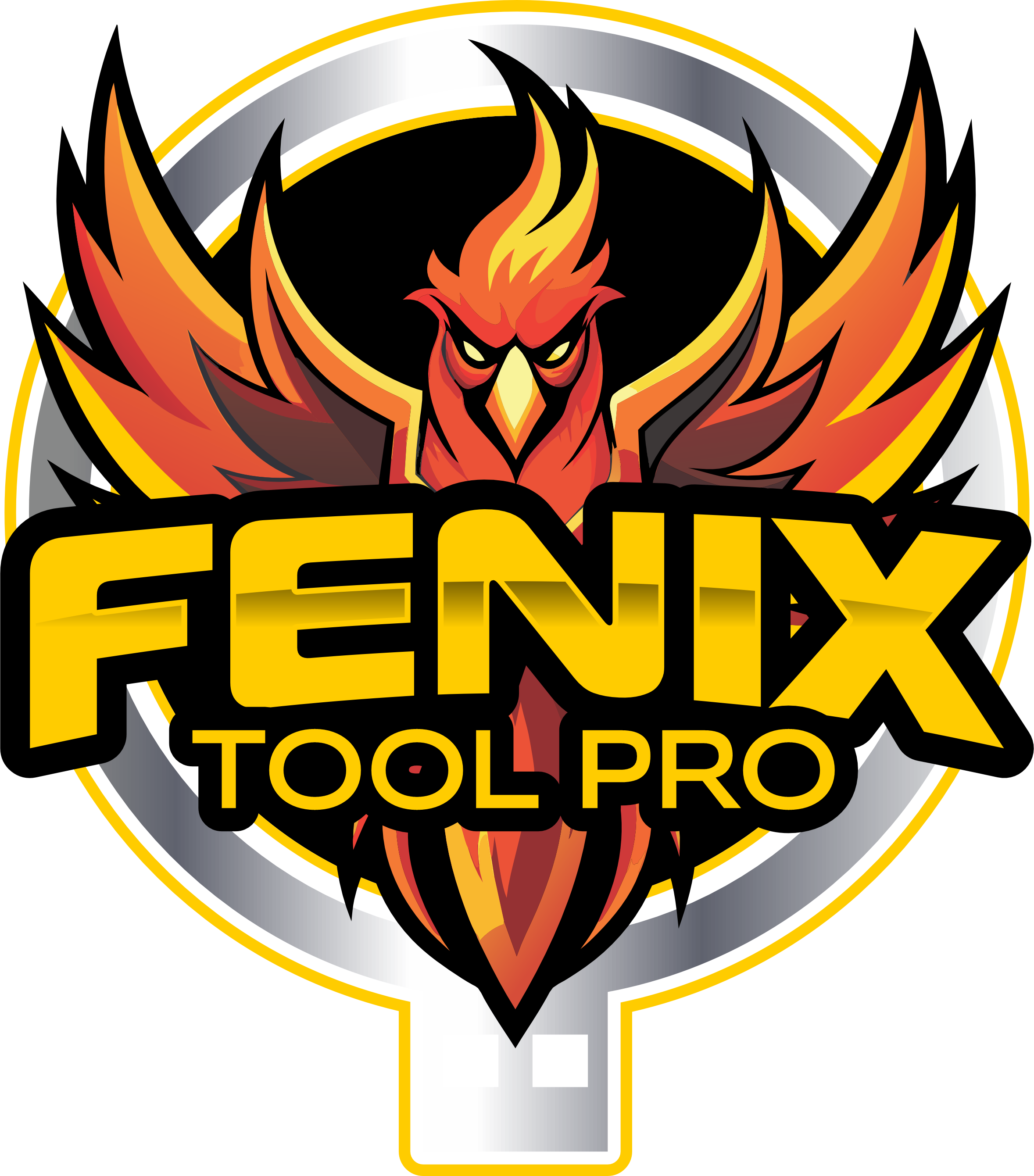 Fenix tool Pro (1 Month Activation)